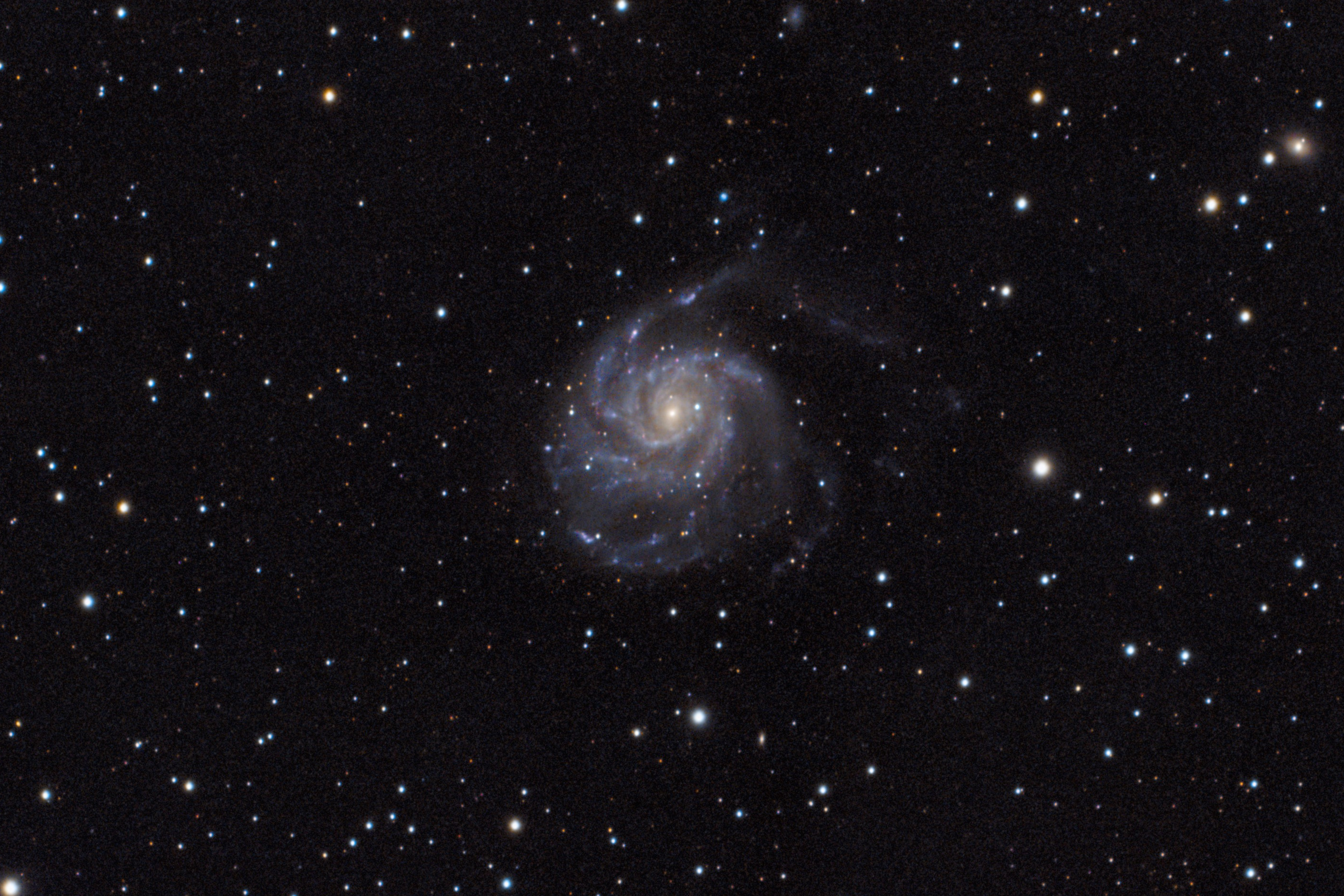Die Feuerradgalaxie M101 – eine gewaltige Spiralgalaxie im Großen Bären