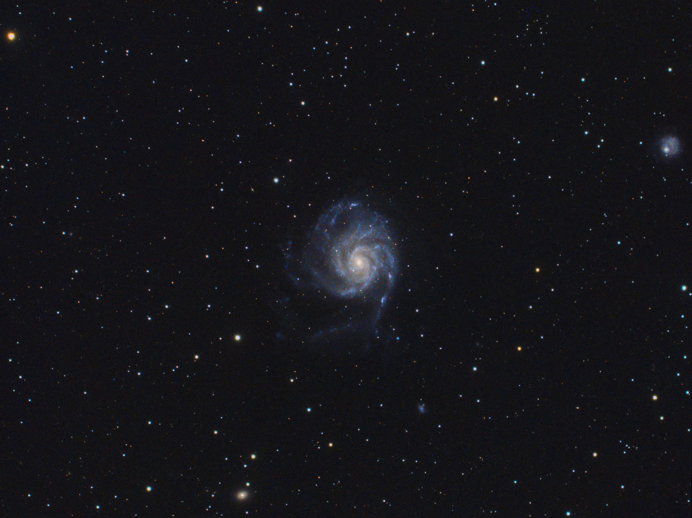 Die Feuerradgalaxie M101 – eine gewaltige Spiralgalaxie im Großen Bären