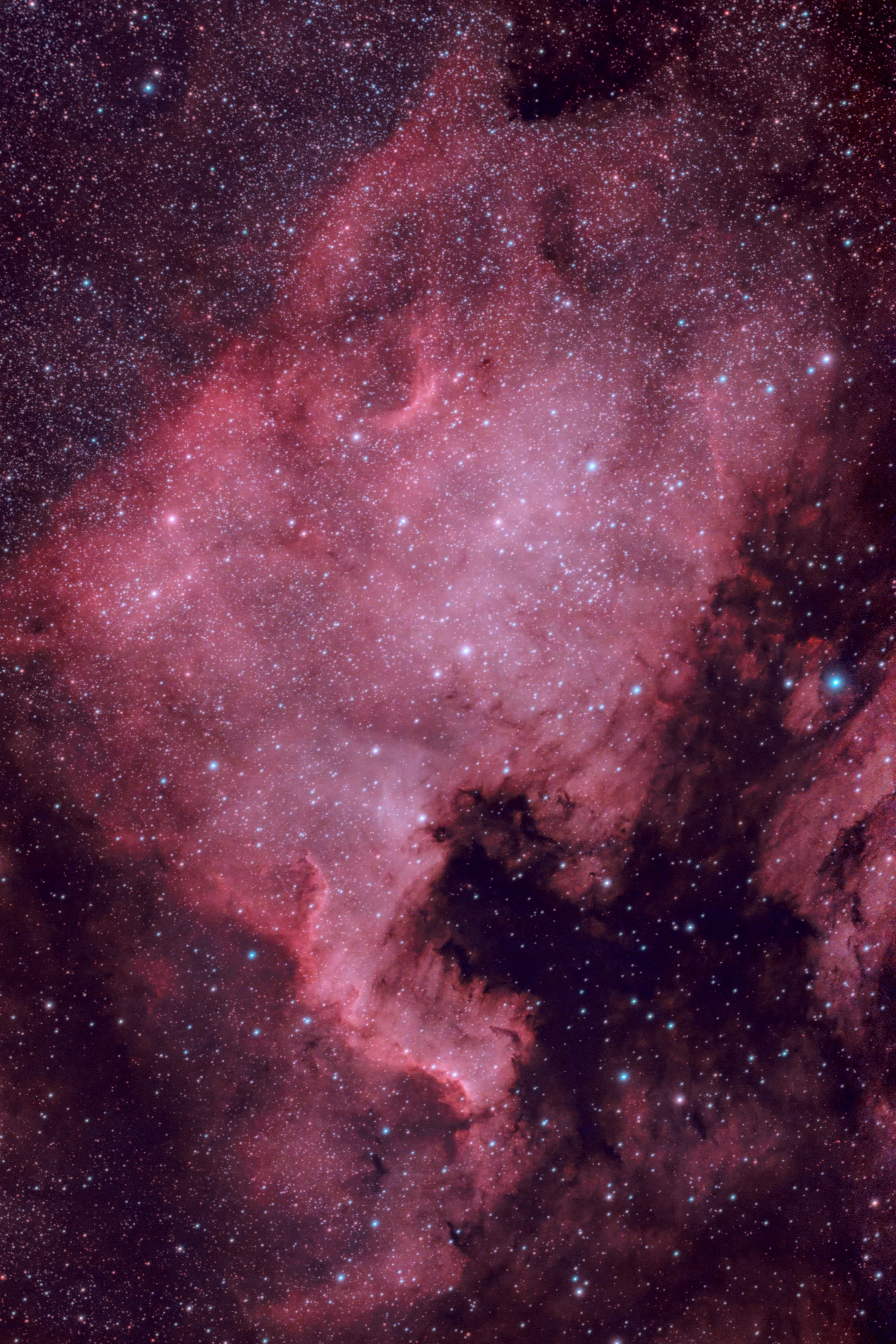 Der Nordamerikanebel – Ein kosmischer Kontinent