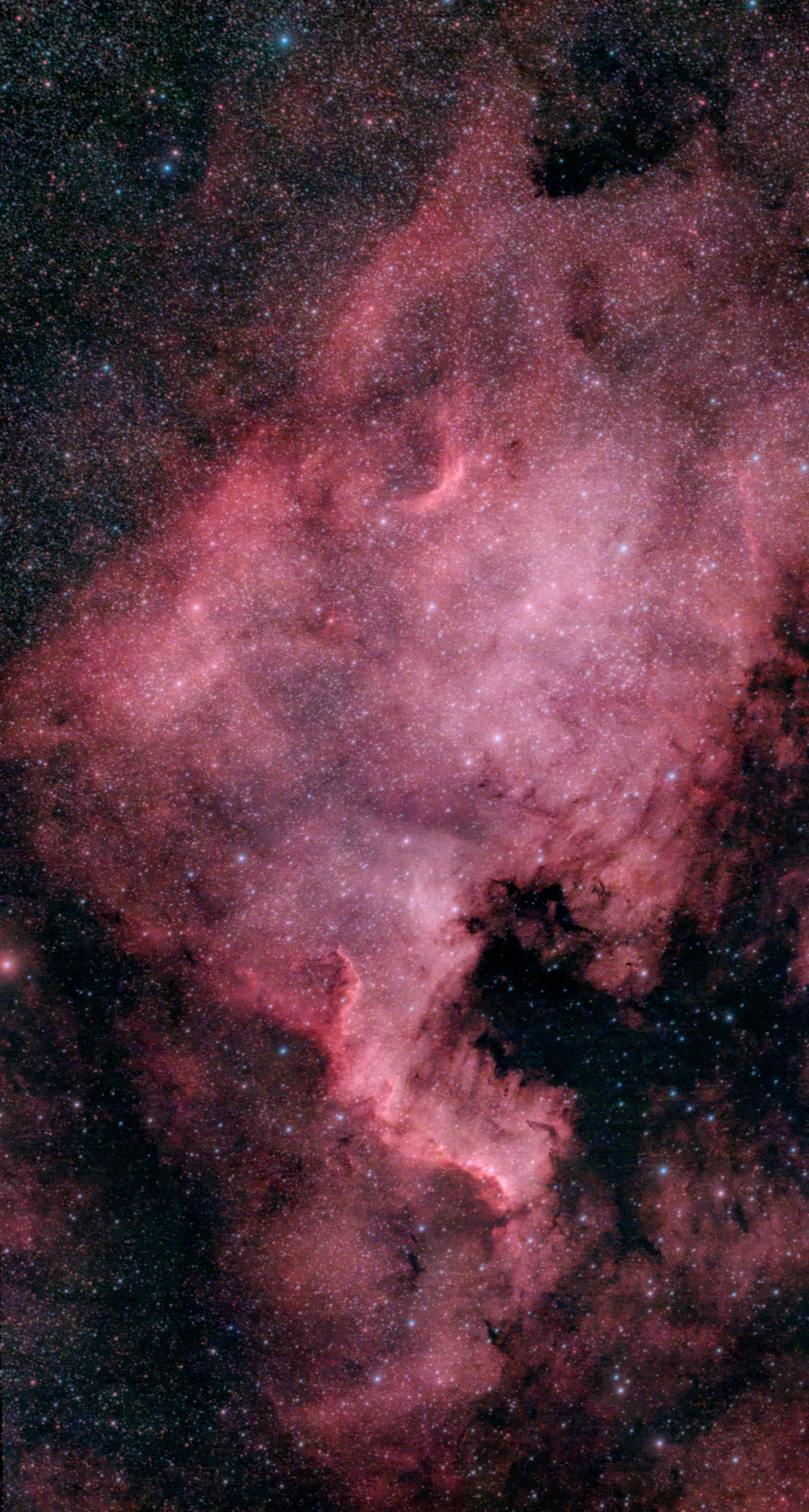 Der Nordamerikanebel – Ein kosmischer Kontinent