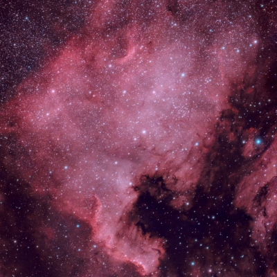 Der Nordamerikanebel – Ein kosmischer Kontinent