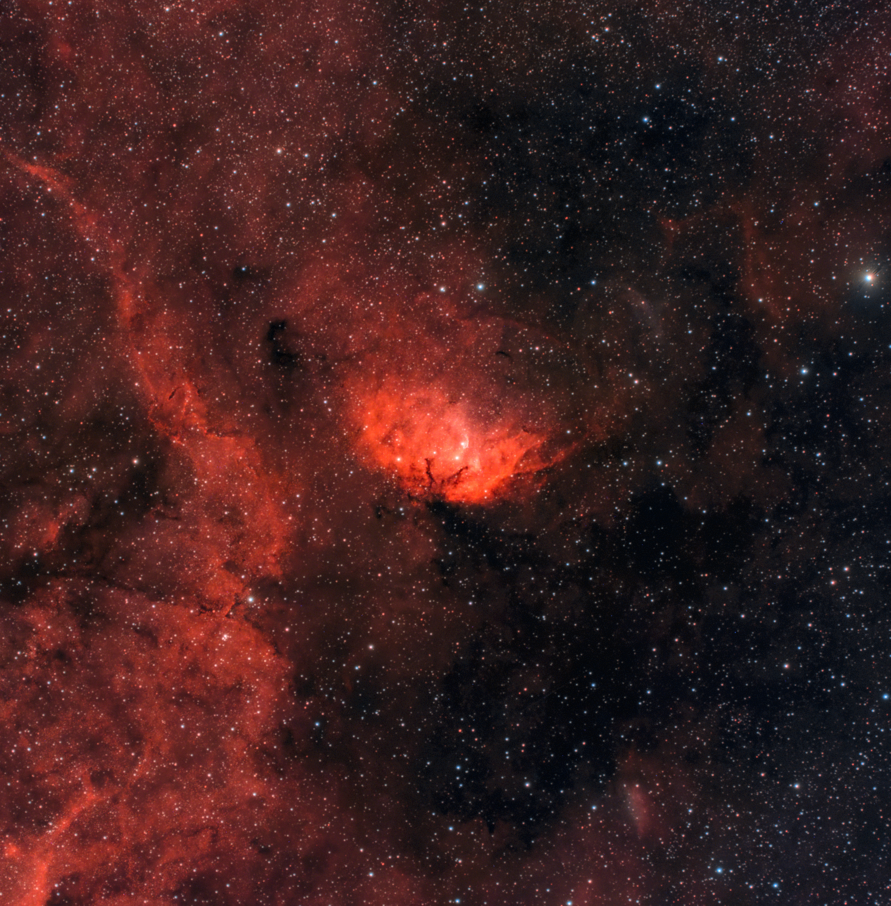 Sh2-101 – Der Tulpennebel und die Stoßfront von Cygnus X-1