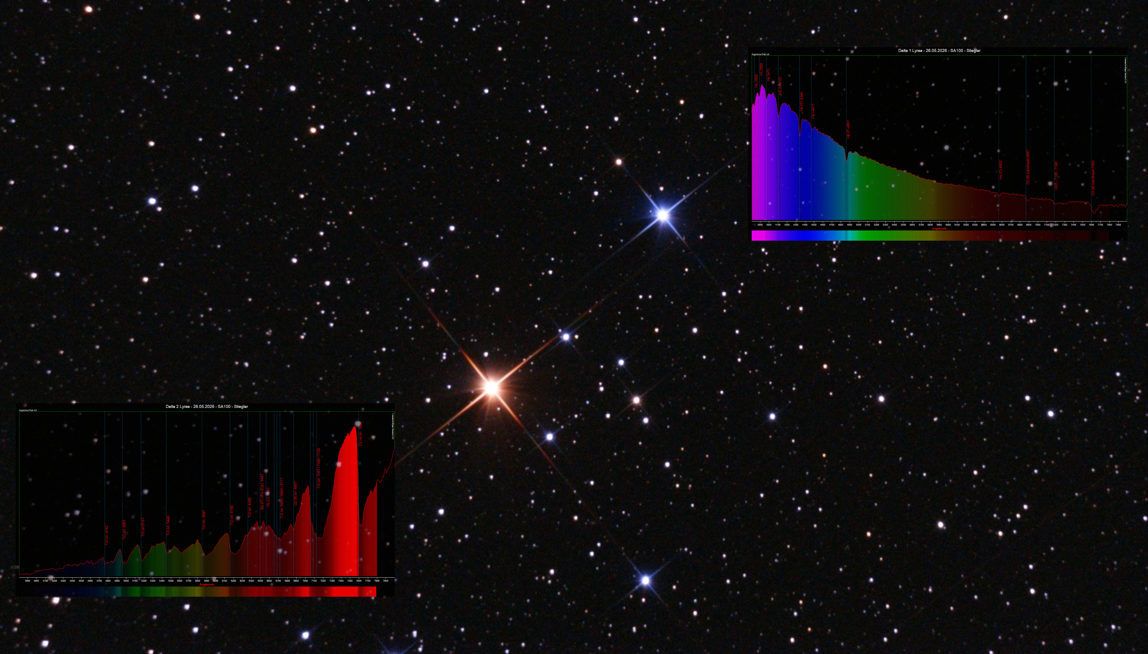 Vom heißen blauen Stern zum roten Riesen — Die spektrale Geschichte von Delta Lyrae