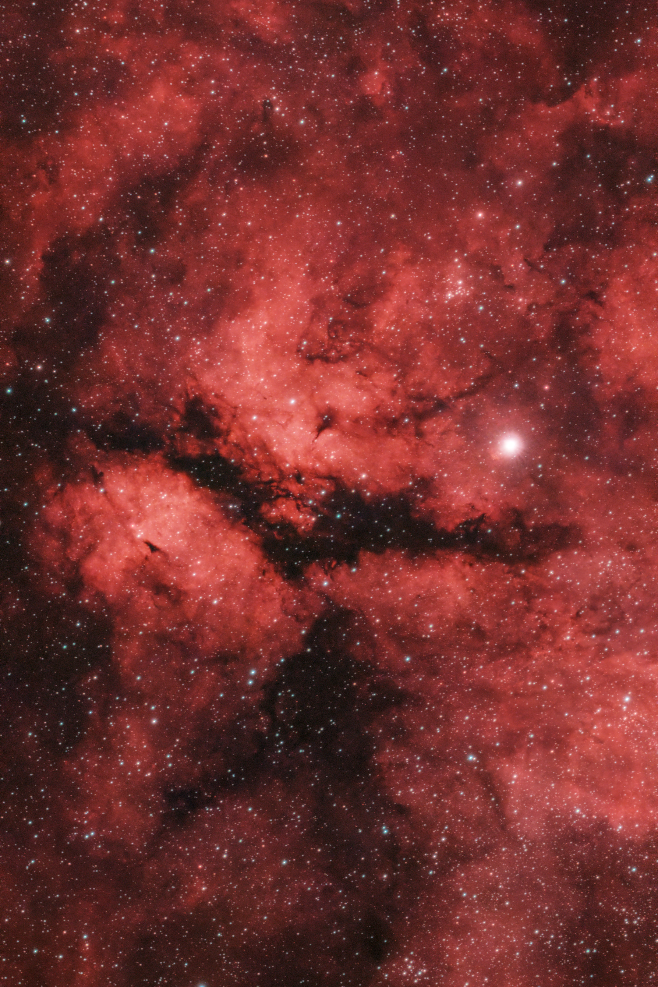 IC 1318 – der Schmetterlingsnebel um Sadr